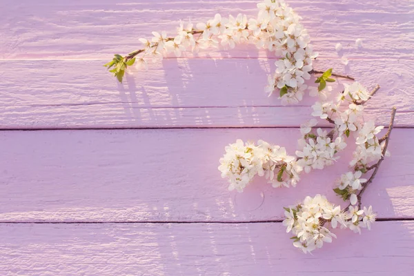 Flores Primavera Sobre Fondo Madera Rosa — Foto de Stock