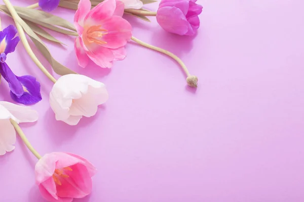 Красиві Квіти Паперовому Фоні — стокове фото