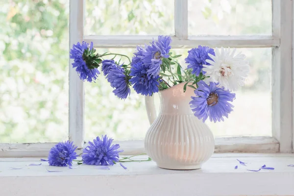 窗台上的投手紫色紫苑 — 图库照片