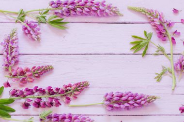 Lupine pembe ahşap zemin üzerine