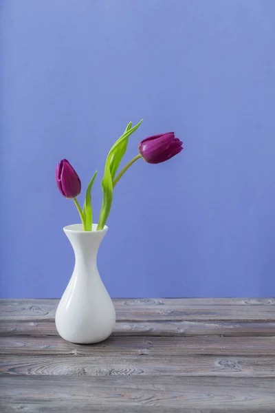 Zwei Tulpen Der Vase Auf Violettem Hintergrund — Stockfoto