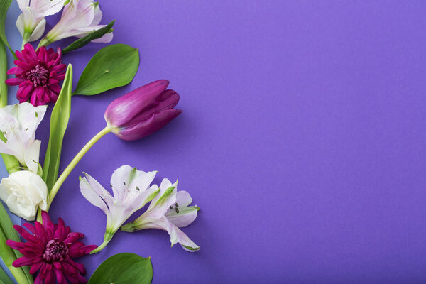 beautiful spring flowers on paper background