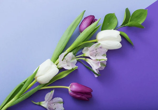 Hermosas Flores Primavera Sobre Fondo Papel — Foto de Stock