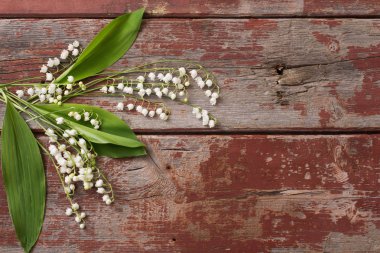 ahşap zemin üzerinde vadideki zambak