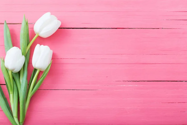 Tulipas Brancas Flores Fundo Madeira Rosa — Fotografia de Stock