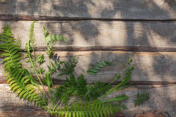 Gröna Blad Gamla Trä Bakgrund — Stockfoto