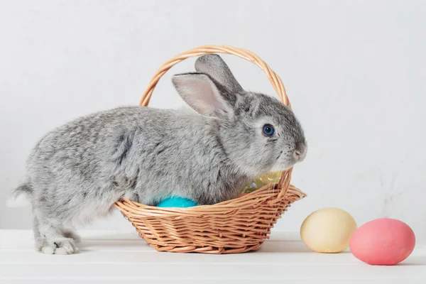 Hase Mit Ostereiern Auf Weißem Hintergrund — Stockfoto