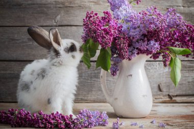 Paskalya tavşanı leylak ahşap arka plan üzerinde ile