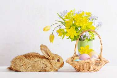 Bunny Paskalya yumurtaları ve beyaz arka plan üzerinde çiçekler ile