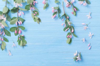 Bush ahşap arka plan üzerinde pembe çiçekli dalları