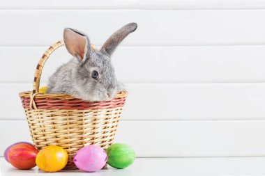 Beyaz arka planda yumurtaları olan Paskalya tavşanı