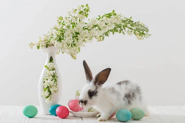 Rabbit and flowers in a vase on a white background