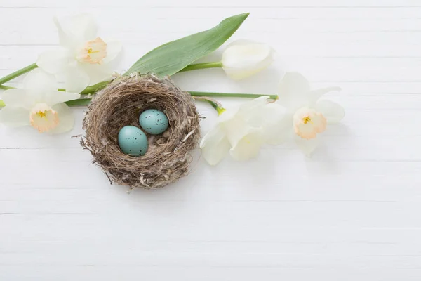 Easter Egg Nest Spring Flowers Wooden Background — Stock Photo, Image