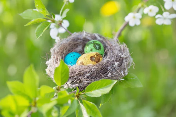 屋外の巣でイースターの卵 — ストック写真