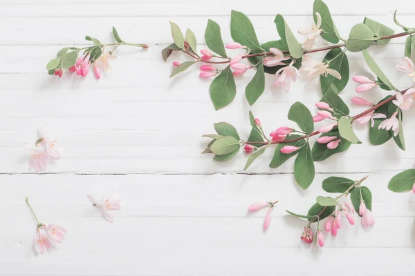 Větve Keře Růžovými Květy Dřevěné Pozadí — Stock fotografie