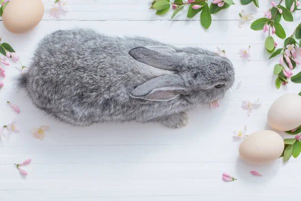 Lapin Avec Des Fleurs Sur Fond Blanc Bois — Photo