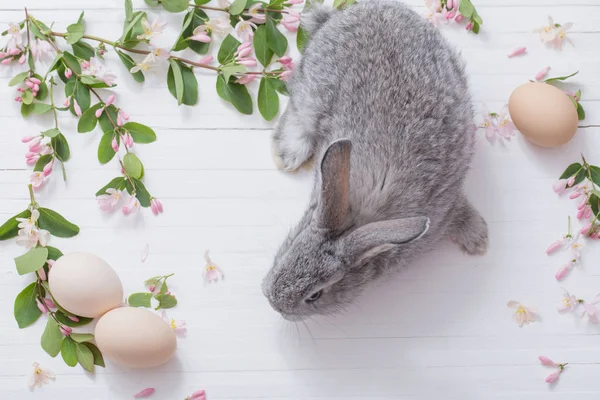 Lapin Avec Des Fleurs Sur Fond Blanc Bois — Photo