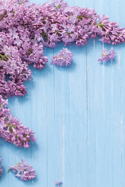 Liliowy Niebieskim Tle Drewnianych — Zdjęcie stockowe