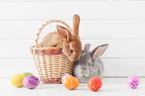 Osterhase Mit Eiern Auf Weißem Hintergrund — Stockfoto