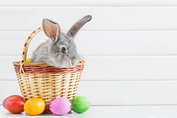 有白色背景蛋的复活节兔子 — 图库照片