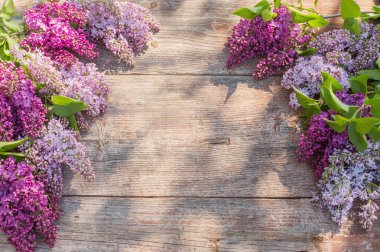 eski ahşap arka plan güneş ışığı üzerinde leylak