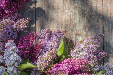 eski ahşap arka plan güneş ışığı üzerinde leylak