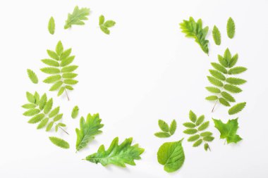 Kağıt arkaplanda yeşil yapraklar