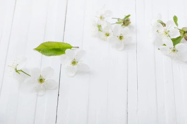Ανοιξιάτικα Λουλούδια Λευκό Ξύλινο Φόντο — Φωτογραφία Αρχείου