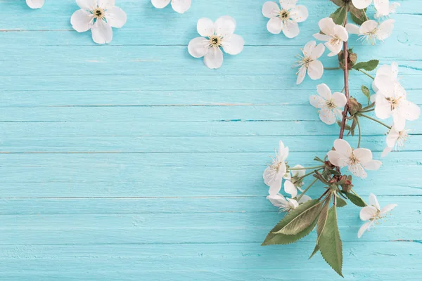 Wiosenne Kwiaty Niebieskim Drewnianym Tle — Zdjęcie stockowe