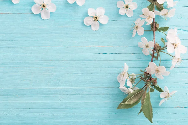 Flores Primavera Sobre Fondo Madera Azul — Foto de Stock