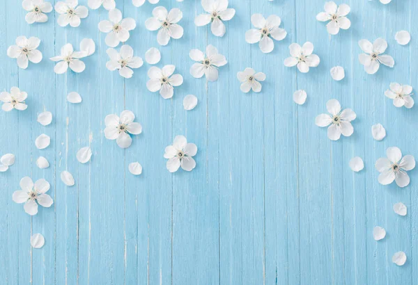 Fiori Primaverili Sfondo Legno Blu — Foto Stock