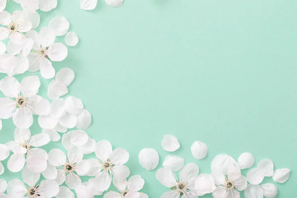 Cherry Flowers Paper Background — Stock Photo, Image