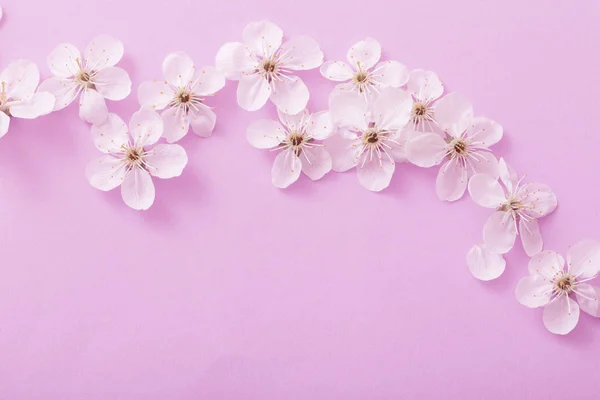 Körsbär Blommor Papper Bakgrund — Stockfoto