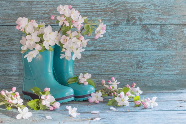 Frühlingsblumen Stiefeln Auf Holzgrund — Stockfoto