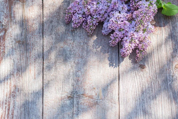 Lila Oude Houten Achtergrond Zonlicht — Stockfoto