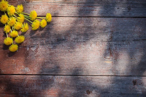 Paardebloemen Oude Houten Achtergrond — Stockfoto