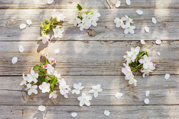 Witte Apple Bloemen Oude Houten Achtergrond — Stockfoto