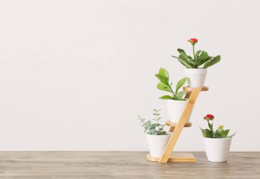 houseplants Beyaz ahşap masa duvara karşı 