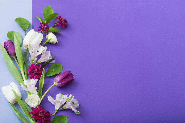 beautiful spring flowers on paper background