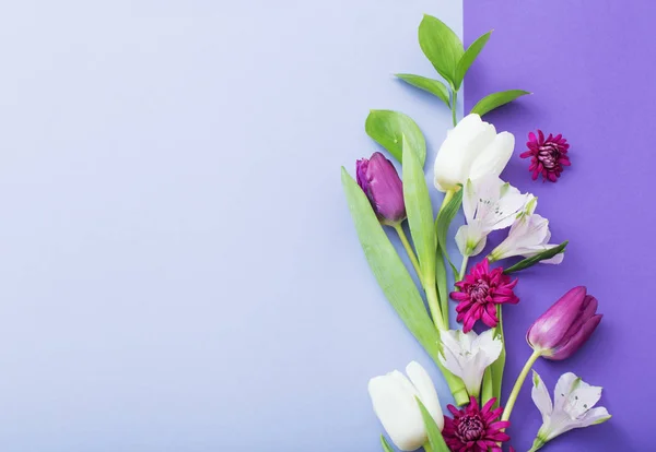 Gyönyörű tavaszi virágok papíron háttér — Stock Fotó