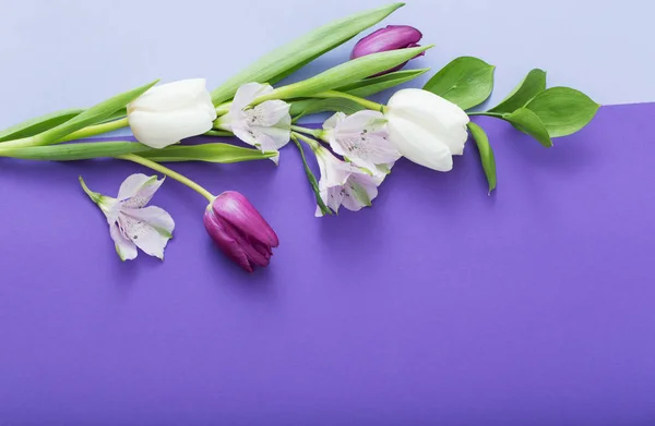 Hermosas flores de primavera sobre fondo de papel — Foto de Stock