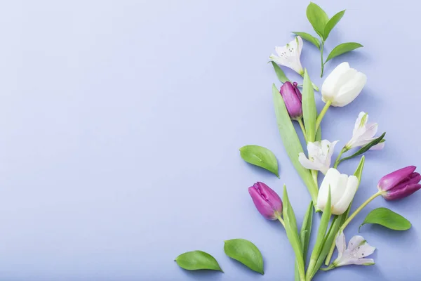 Mooie lente bloemen op papier achtergrond — Stockfoto