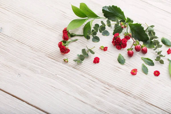 Rote Blüten mit Blättern auf weißem Holzhintergrund — Stockfoto