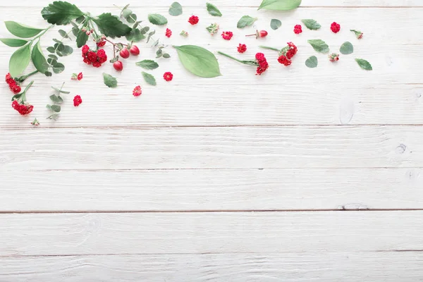 Red flowers with leaves on white wooden background — Stock Photo, Image