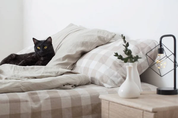 Zwarte kat op Bed — Stockfoto