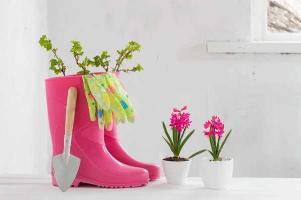 Botas de goma y flores de primavera sobre fondo blanco — Foto de Stock