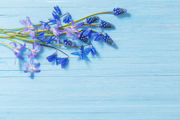 mavi ahşap arka planda bahar çiçekleri