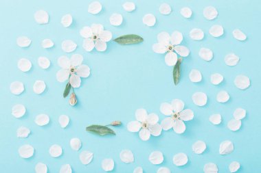 Kağıt arka plan üzerinde kiraz çiçekleri