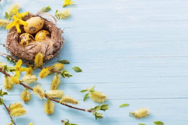 Ostereier im Nest mit gelben Blumen auf hölzernem Hintergrund — Stockfoto