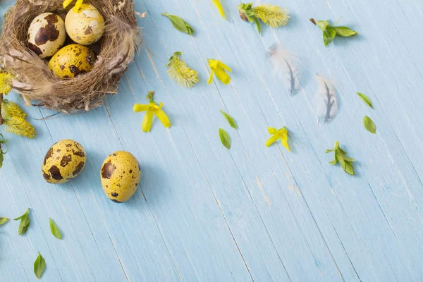 Œufs de Pâques dans le nid avec des fleurs jaunes sur fond en bois — Photo